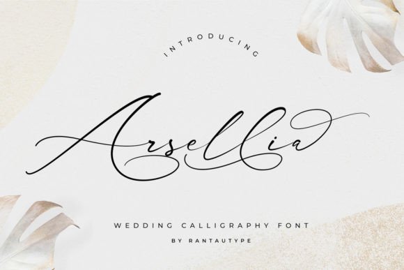 Arsellia: An Editorial Script Font for Modern Publications