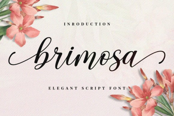 Choosing Brimosa: A Font for Elegant Branding