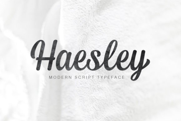 Haesley: A Campaign Font That Makes Your Message Stand Out