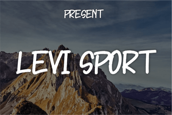 Levi Sport: A Friendly Font for Building Your Brand