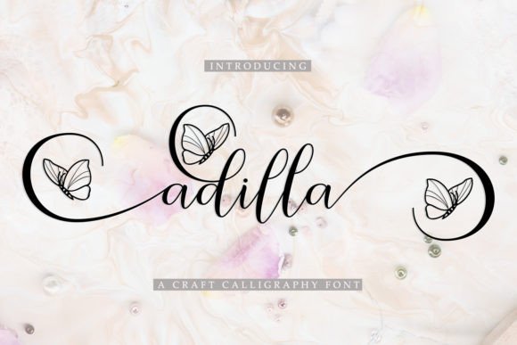 The Adilla Font: Flowing Typography for Modern Web Design